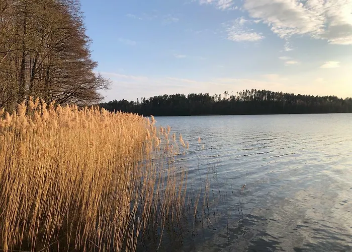 Дом отдыха Family House *