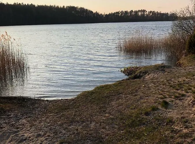 Family House * Gowidlino